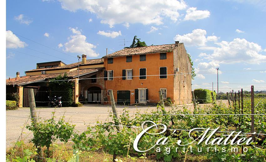 Agriturismo Ca'Mattei Пескантіна Екстер'єр фото